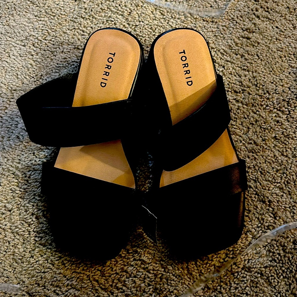 Torrid size 9 double strapped sandals with chunky heel.